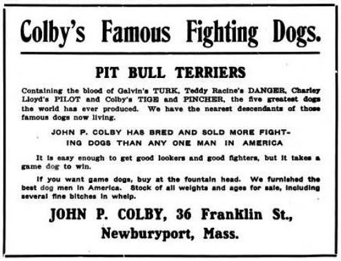 colby ad (1)