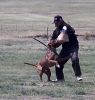 O “artista marcial” canino - Cão de Guarda