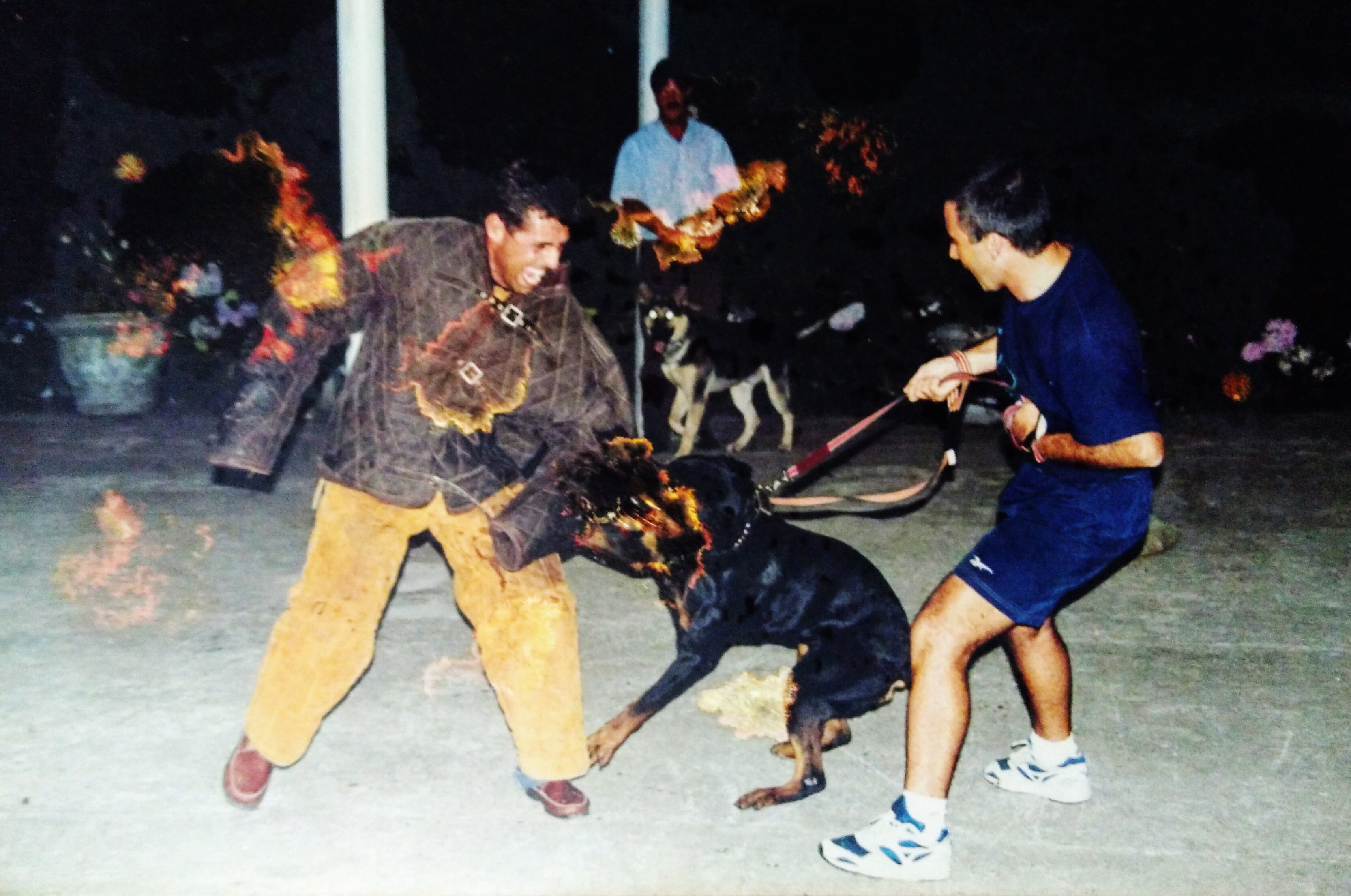 Jairo Teixeira faz figuração com Rottweiler