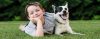Cães e crianças - Perguntas e Respostas sobre Adestramento de Cães e Comportamento Canino