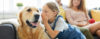 Para os cães, linguagem falada é barulho! - Adestramento de cães e Comportamento Canino