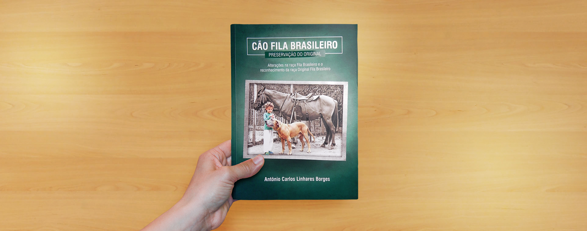 O resgate do FILA BRASILEIRO – Bandog Brasil