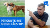 LIVE #012 – Pergunte-me sobre cães #01