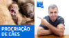 LIVE #035 – Procriação de Cães.