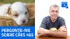 LIVE #111 – Pergunte-me sobre cães #65